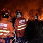 Pantanal em Chamas: entenda a situação e seus impactos
