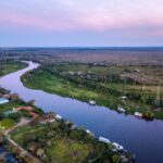 Corumbá e Ladário entram no maior desafio global de biodiversidade urbana; saiba como participar