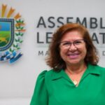 Blogueiro é condenado a indenizar Dione Hashioka por fake news nas eleições de 2024