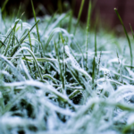 Sensação de -4,7°C e geada pelo segundo dia marcam o frio intenso em MS