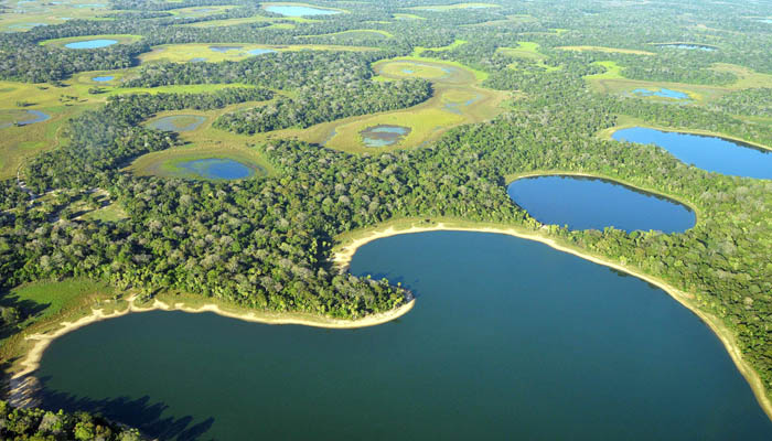 MS aposta em recompensa para quem preserva o Pantanal e destina R$ 70 milhões até 2026