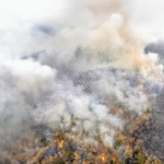 Novo foco de incêndio ameaça Parque Nacional da Serra da Bodoquena
