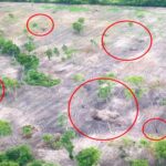 MP investiga incêndios ilegais que destruíram 64 hectares no Pantanal; fazendeiros são multados