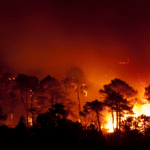 Mato Grosso do Sul decreta situação de emergência por incêndios florestais