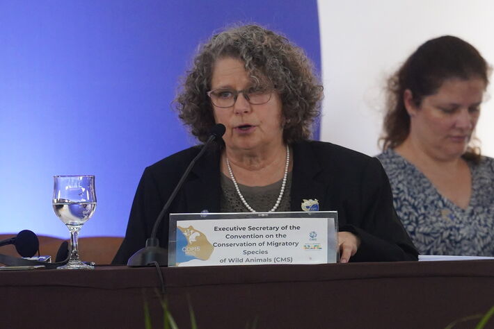 Conectividade ecológica é essencial para preservar espécies, afirma representante da ONU em MS