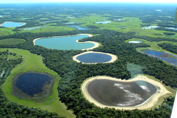 Pantanal ganha mais área protegida e nova reserva é criada durante COP15