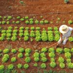 Agraer fortalece acesso ao crédito rural em projetos que abrem oportunidades a quem trabalha no campo