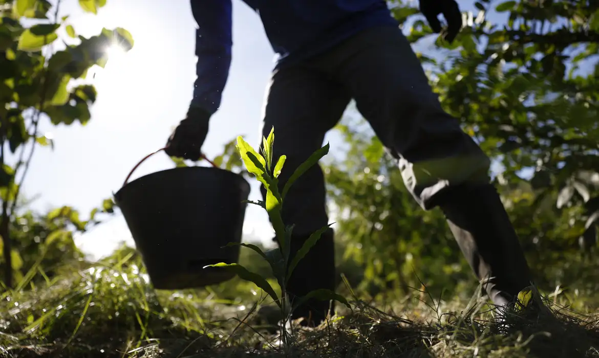 Governo apresenta plano para desenvolver bioeconomia no país