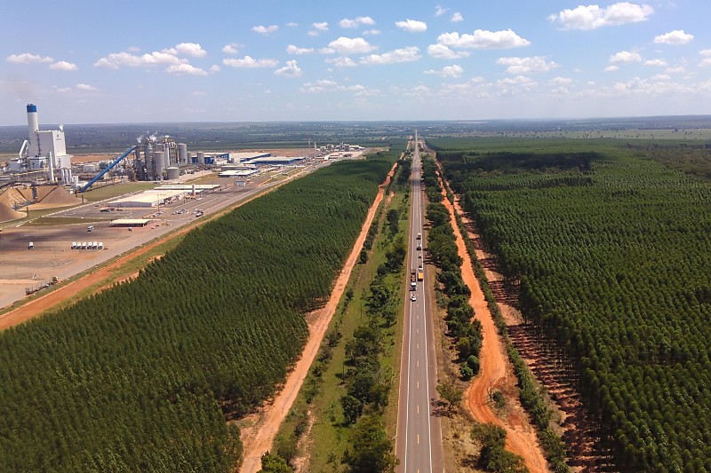 Grupo chinês vai instalar fábrica para atender setor de celulose em Três Lagoas