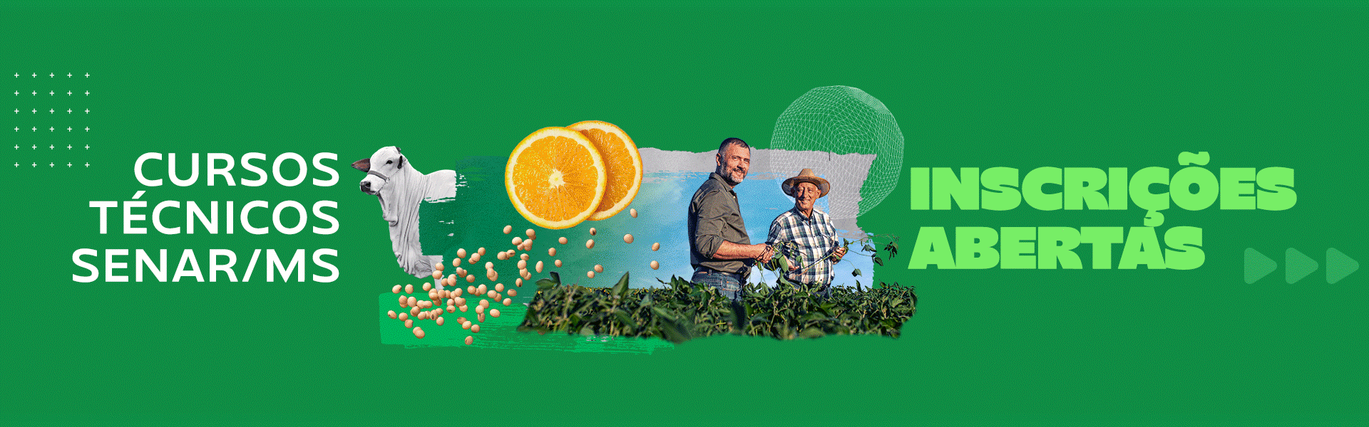 banner_web_cursos_tecnicos_2026_senar_1920x600