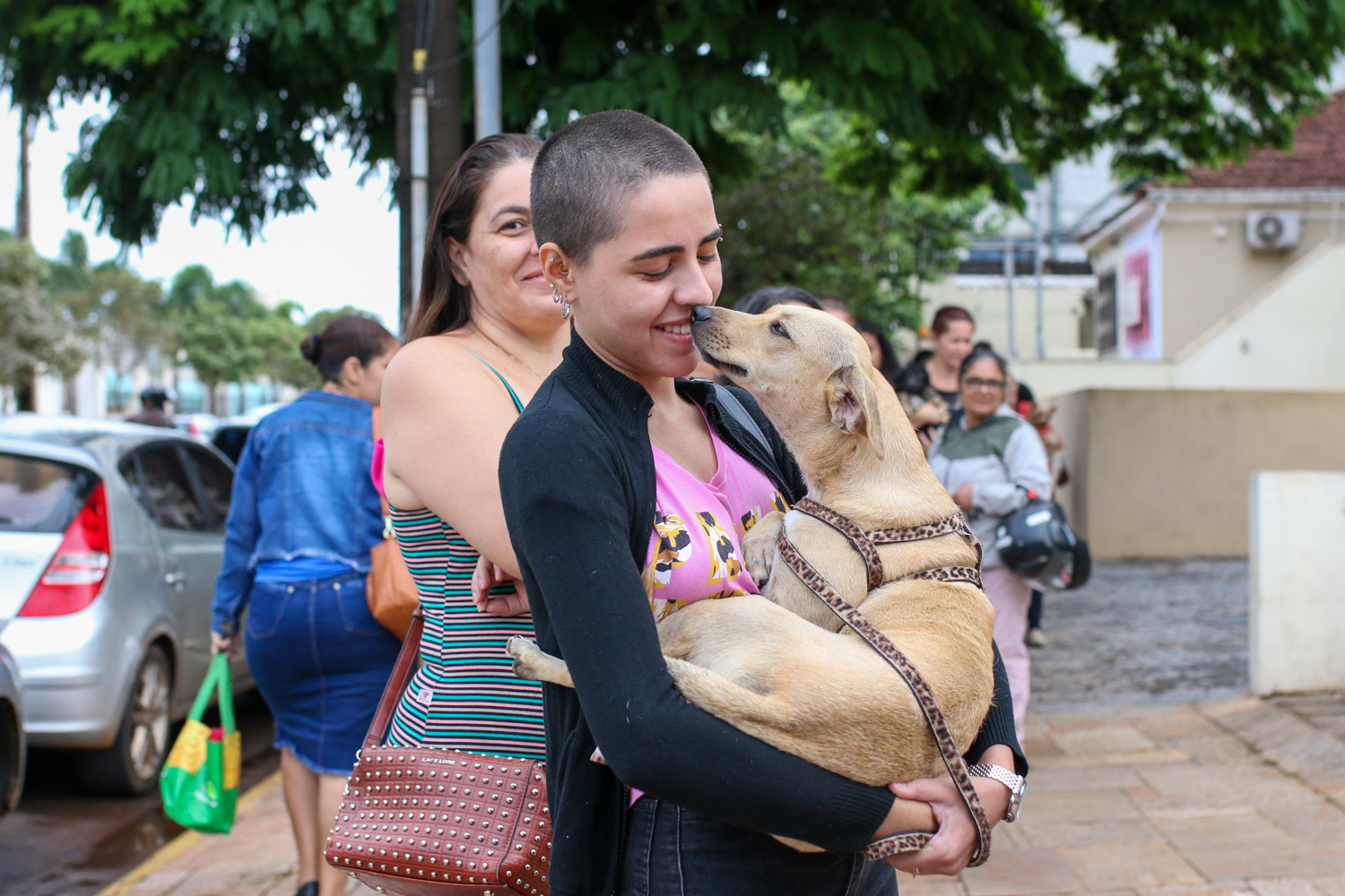 Feira de adoção oferece mais de 50 pets no domingo