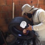 MS registra 6.360 casos confirmados de chikungunya