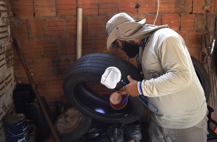 MS registra 6.360 casos confirmados de chikungunya