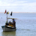 Pescadores artesanais começam a receber seguro-defeso retroativo