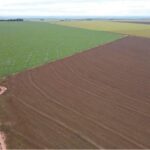 Campo Grande ultrapassa R$ 1 bilhão em produção agrícola e amplia espaço no agro