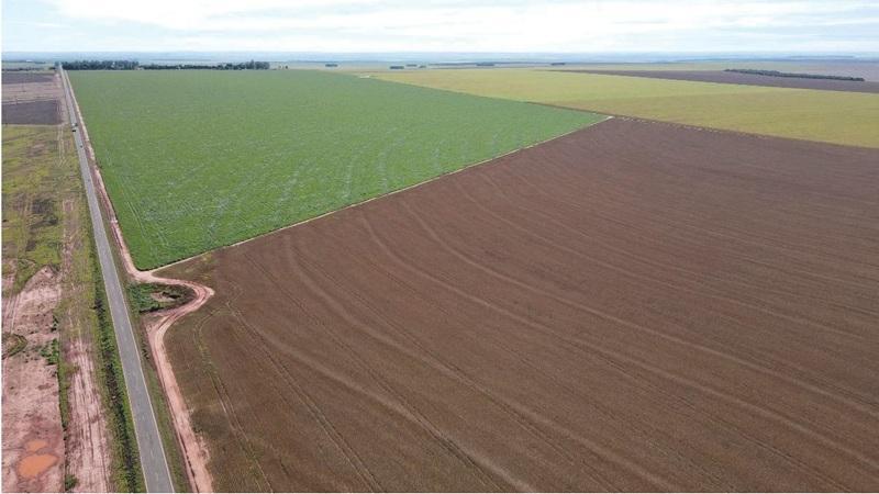 Campo Grande ultrapassa R$ 1 bilhão em produção agrícola e amplia espaço no agro