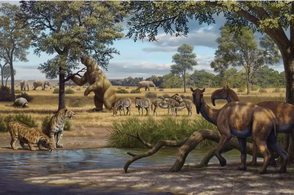 Exposição gratuita revela os animais gigantes que viveram em MS na pré-história