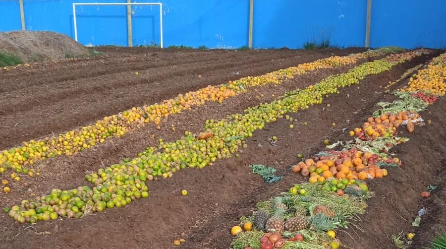 Projeto em Campo Grande transforma resíduos em 40 toneladas de adubo orgânico